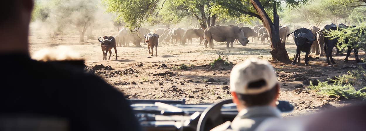 Things to do in Cape Town & Prices