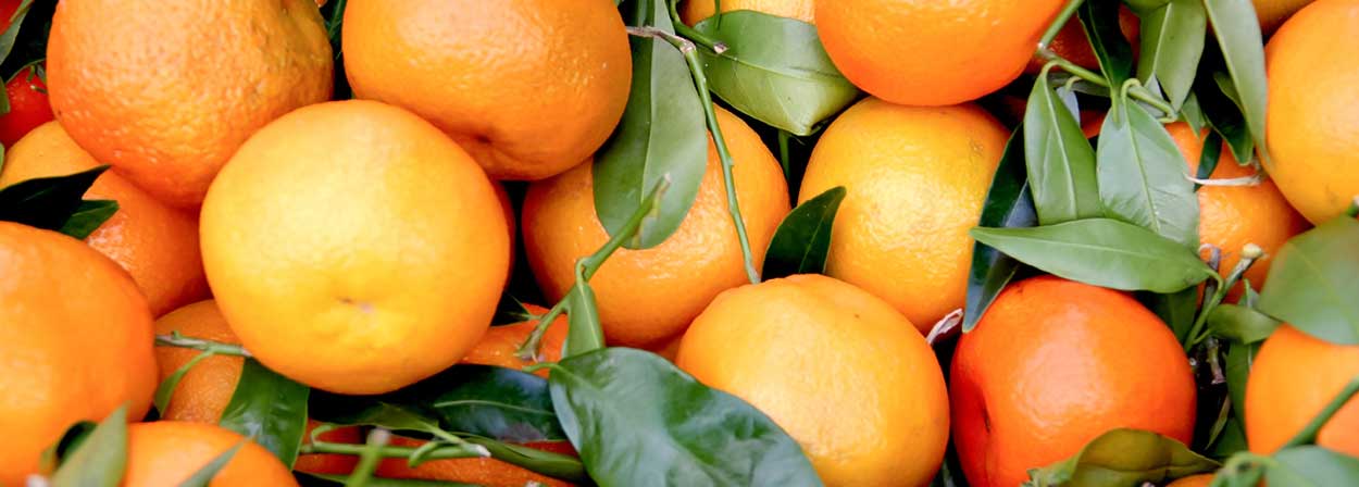 Food and Drinks in Menton