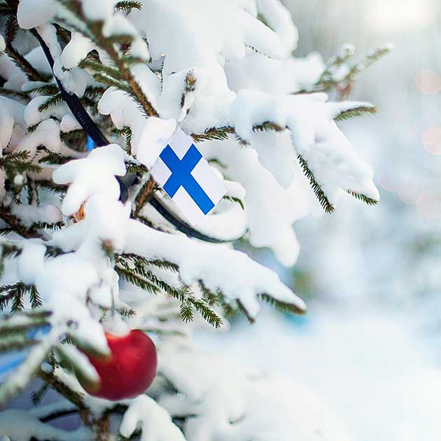 Events in Helsinki Winter