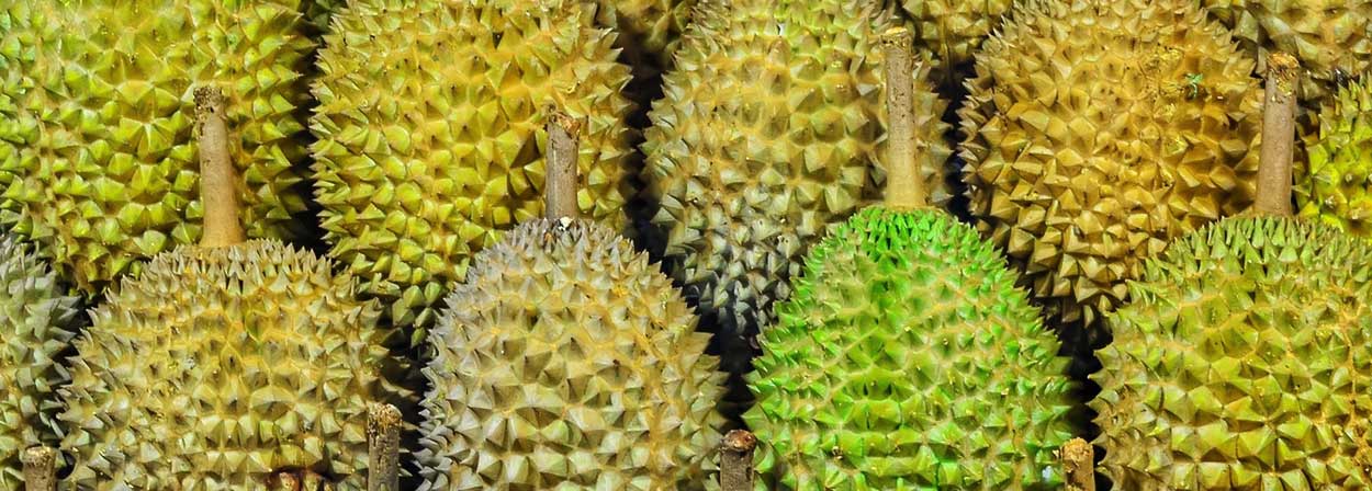 Food and Drinks in Singapore