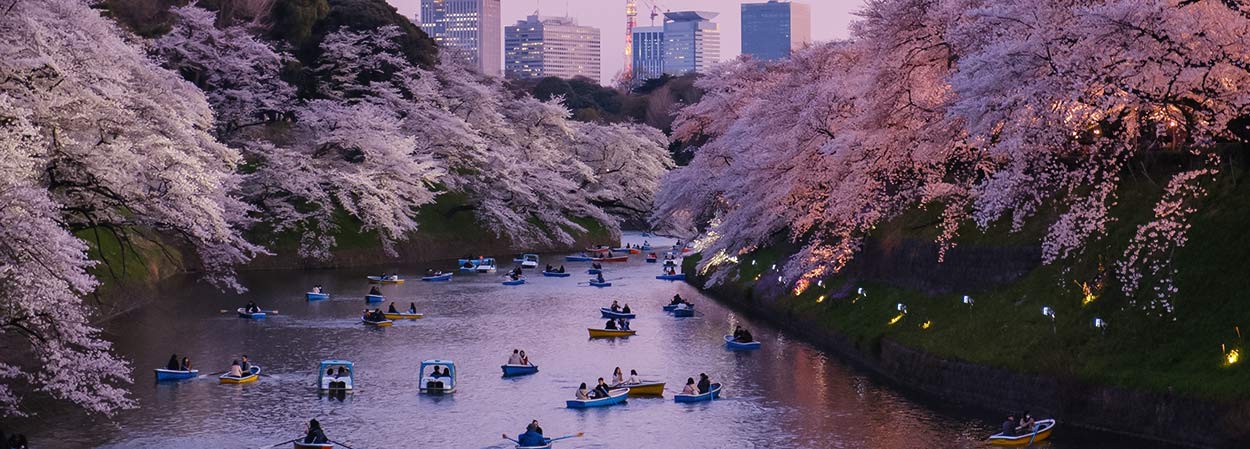 Things to do in Tokyo & Prices